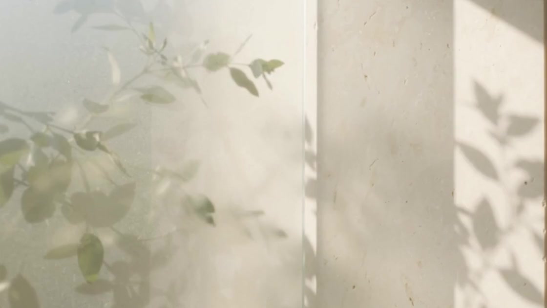 แสงอุ่นผ่านกระจกฝ้าและเงาใบไม้บนผนังหินในบรรยากาศ Quiet Renewal
